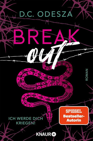Break out – Ich werde dich kriegen! (Break & Run 1)