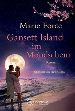 Gansett Island im Mondschein 12