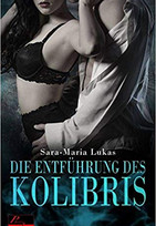 Hard & Heart 1: Die Entführung des Kolibri